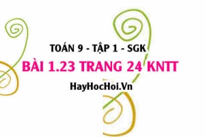 Bài 1.23 trang 24 Toán 9 tập 1 Kết nối tri thức SGK